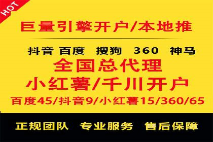 竞价托管与SEO结合的案例分析